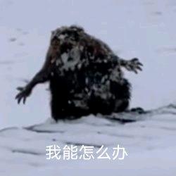 啷个偷饭吃嘞？