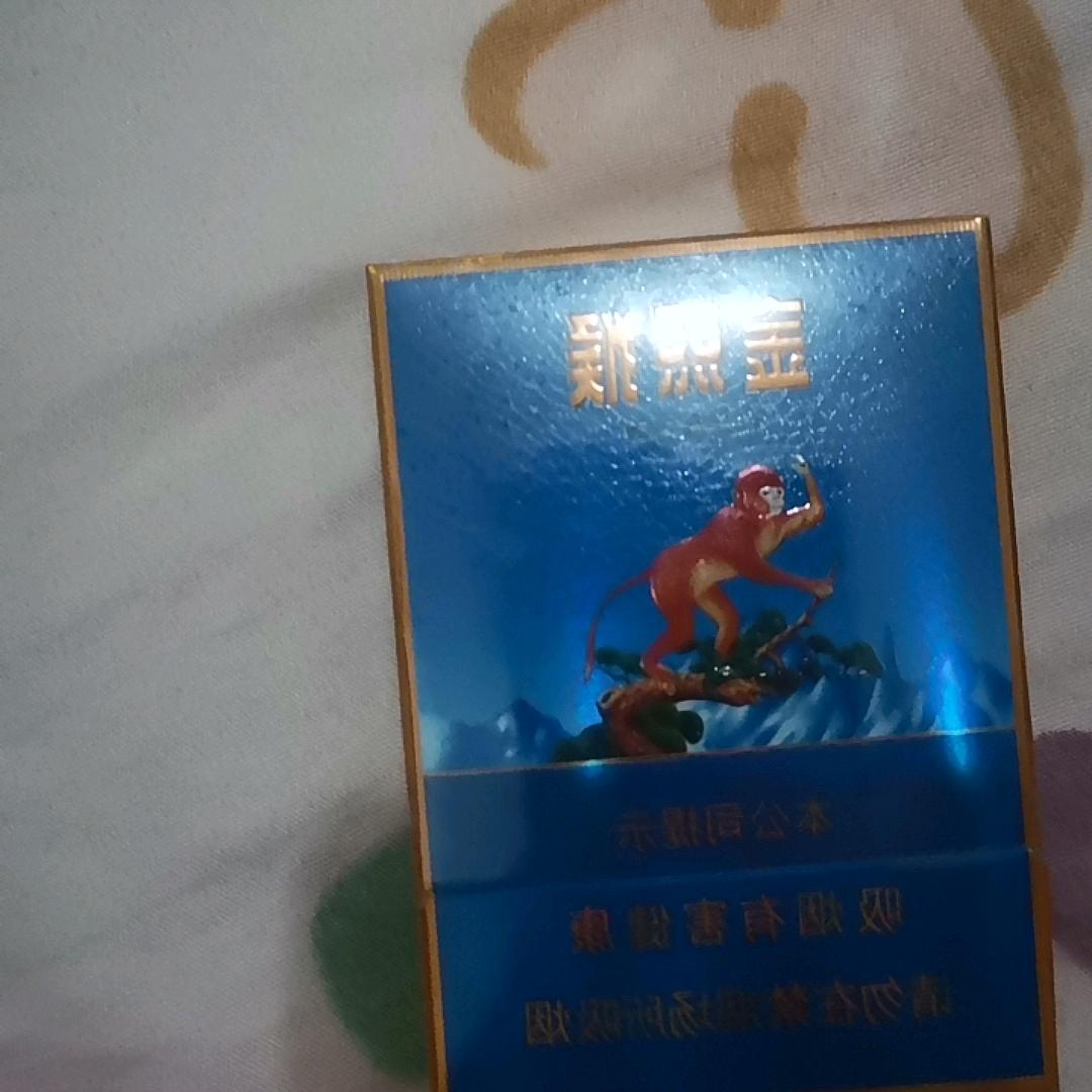 自由飞翔