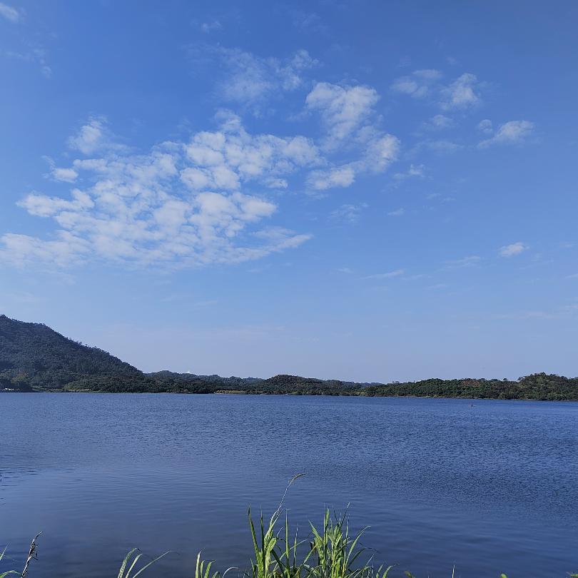 湘南三哥