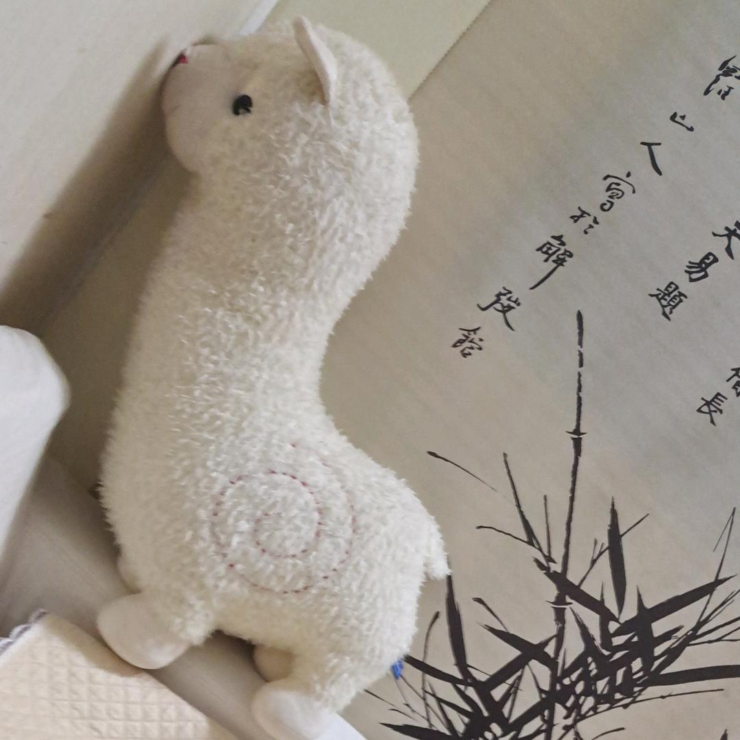 美容美发