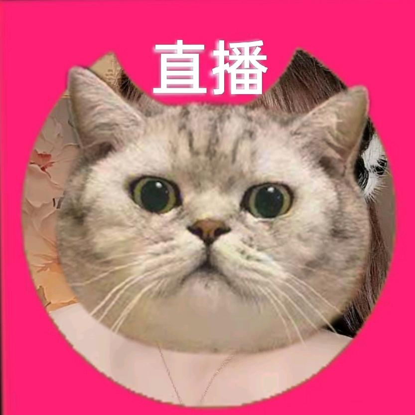 记忆深刻的回忆✨