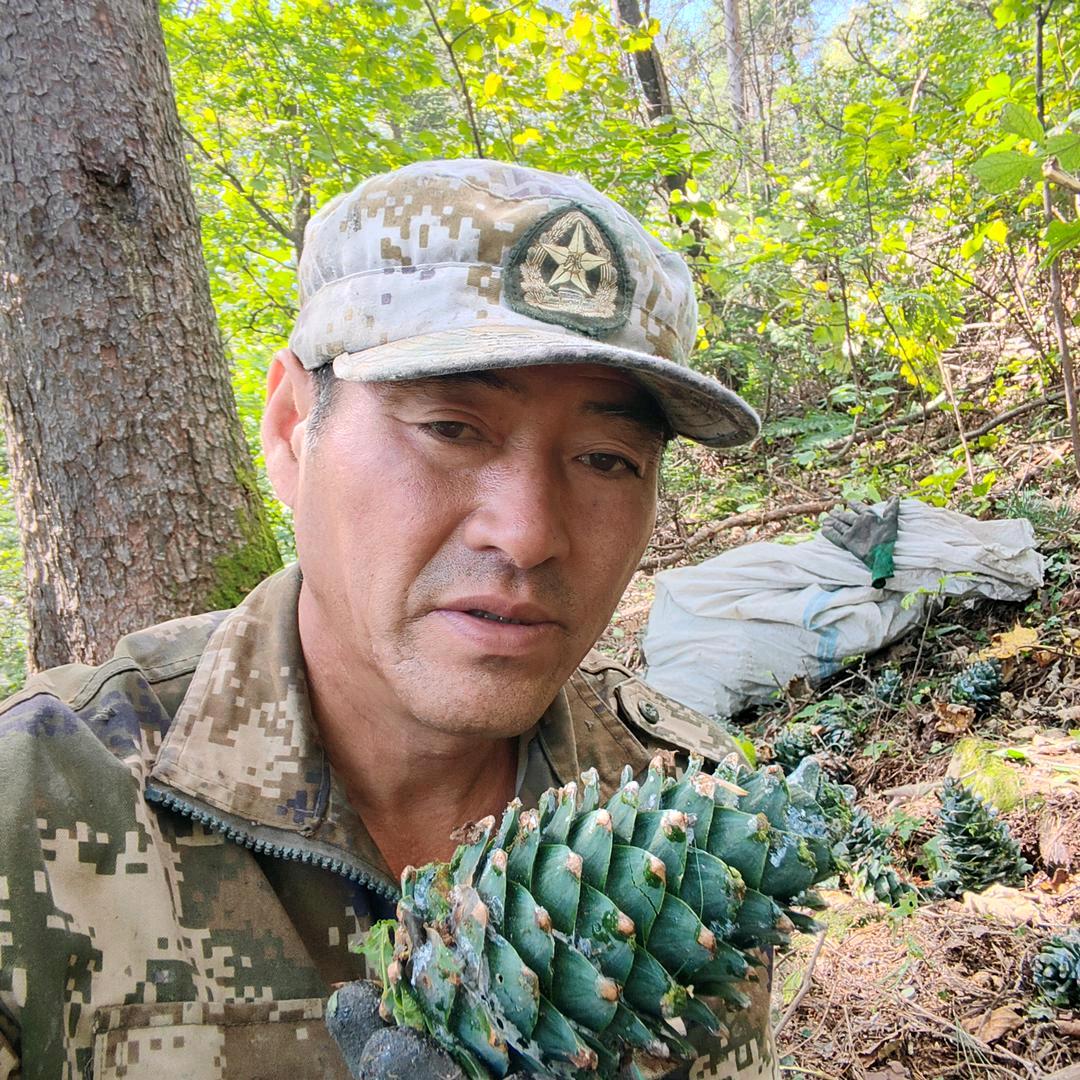 林区四哥（靠山养家）