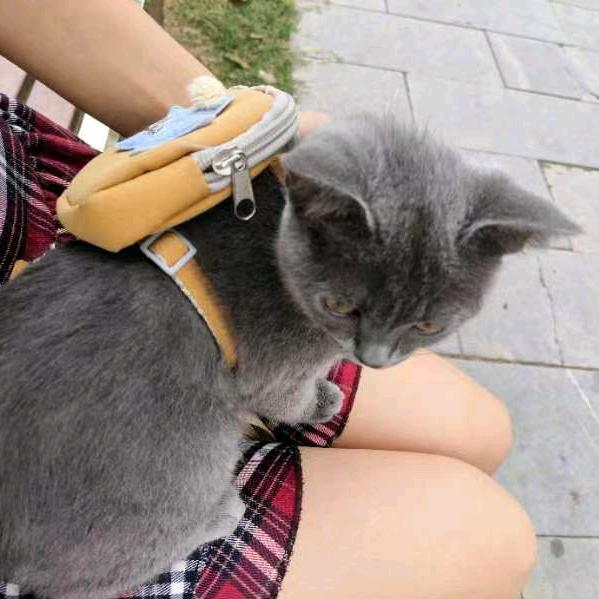 错的肯定
