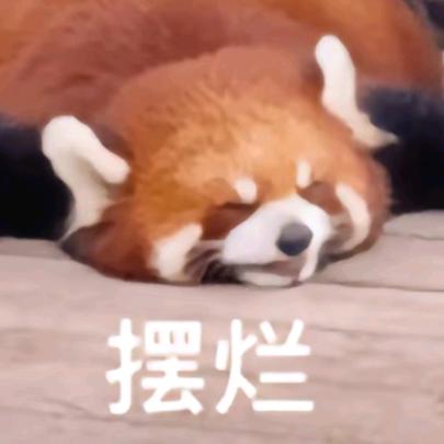小傅。