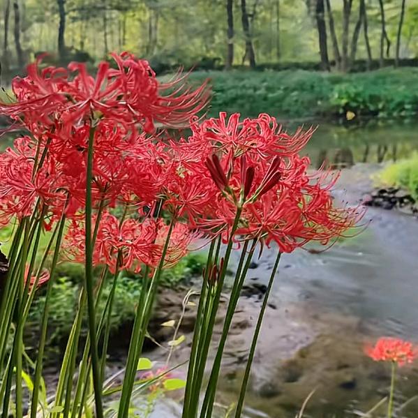 ℳღ简单᭄ꦿ就好დ᭄