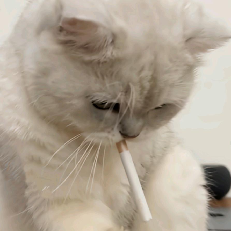 一帧秋