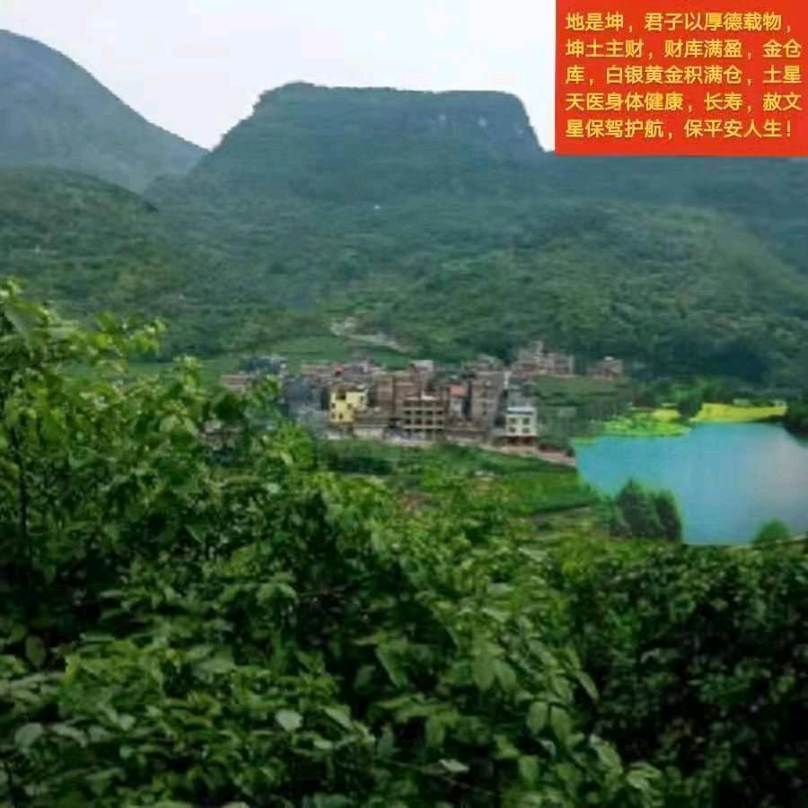 韦衣玥