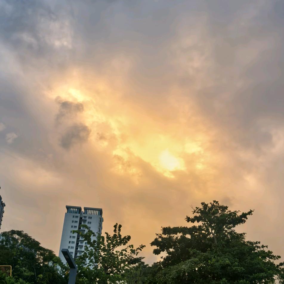 兔子抱着胡萝卜🥕