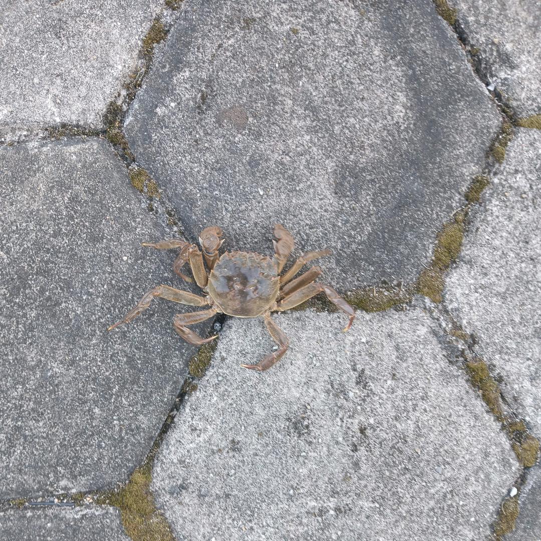网上邻居