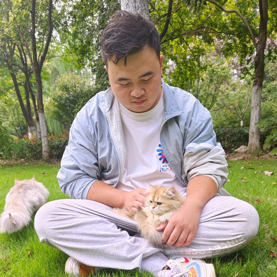 鱼窥荷