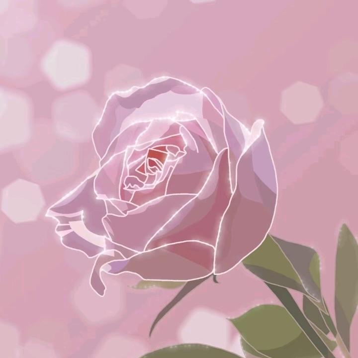 王姐短剧