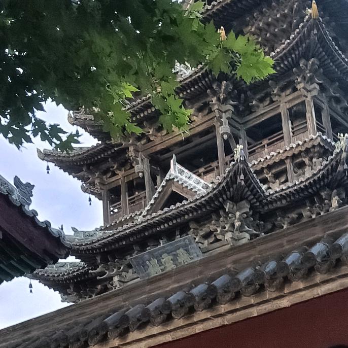 兔小兔