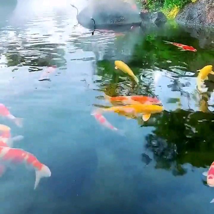 水表