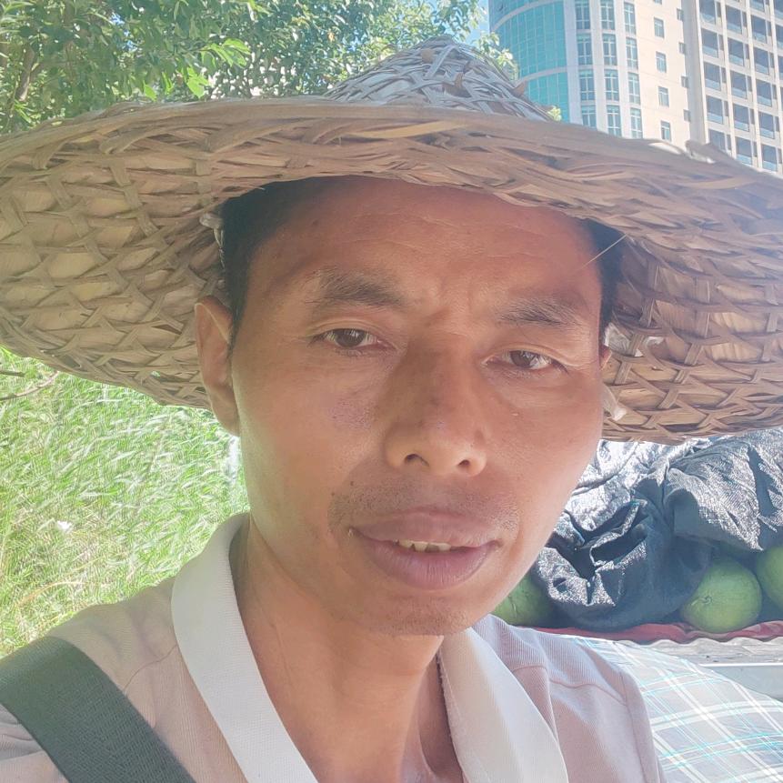 三嫁猫
