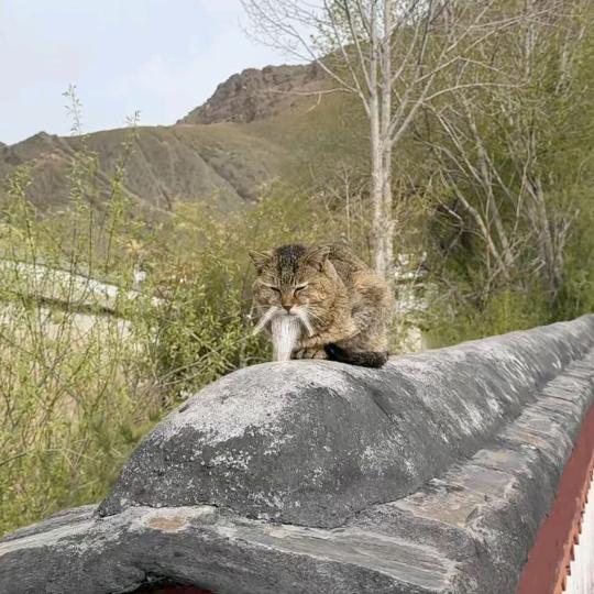 在旅途