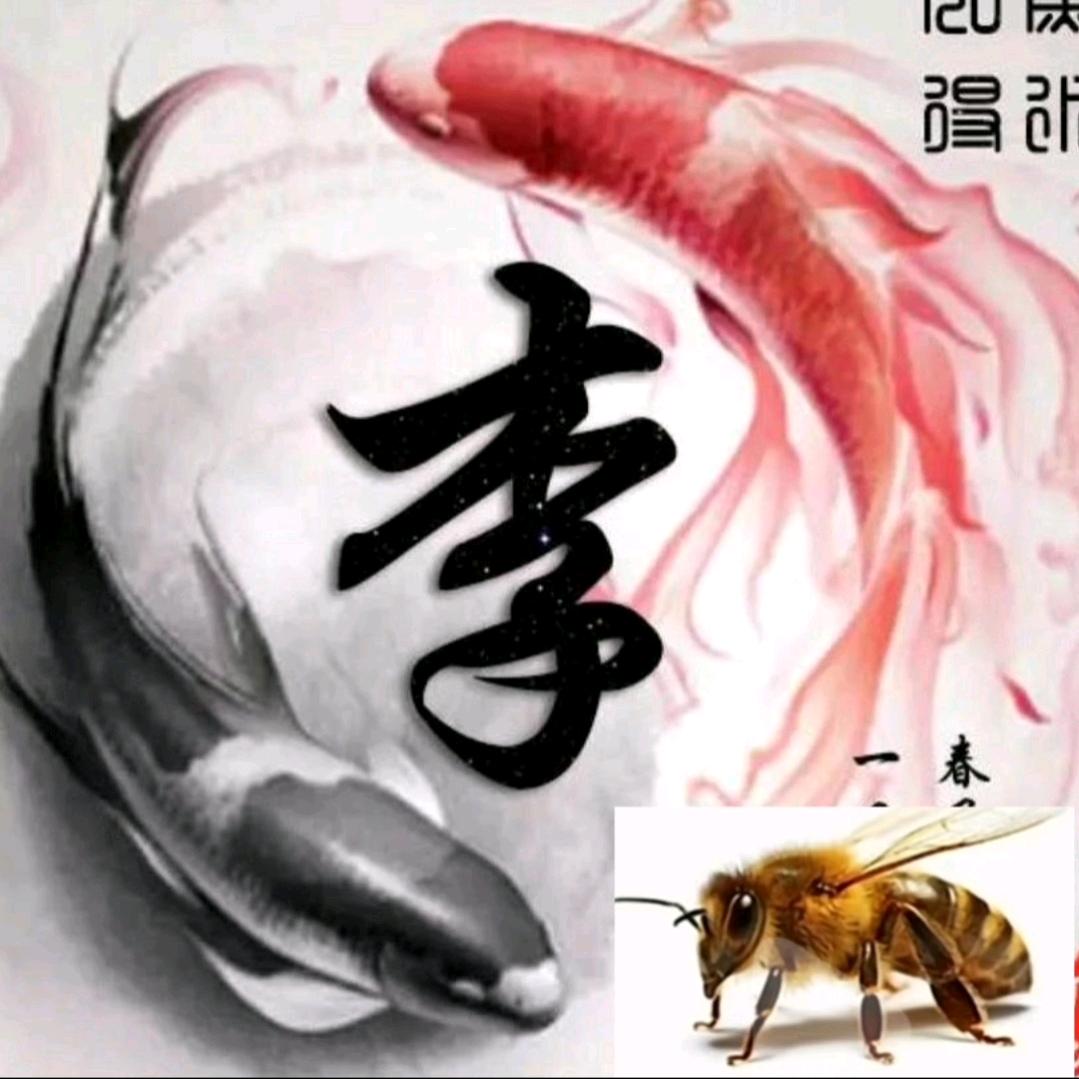 李波