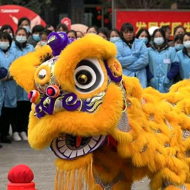 🐲南宁威艺武术龙狮团🦁