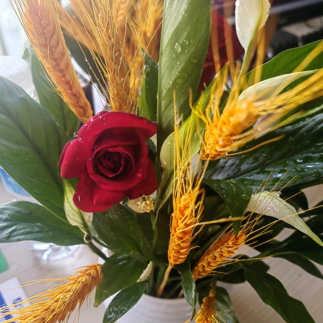 做自己的治愈者