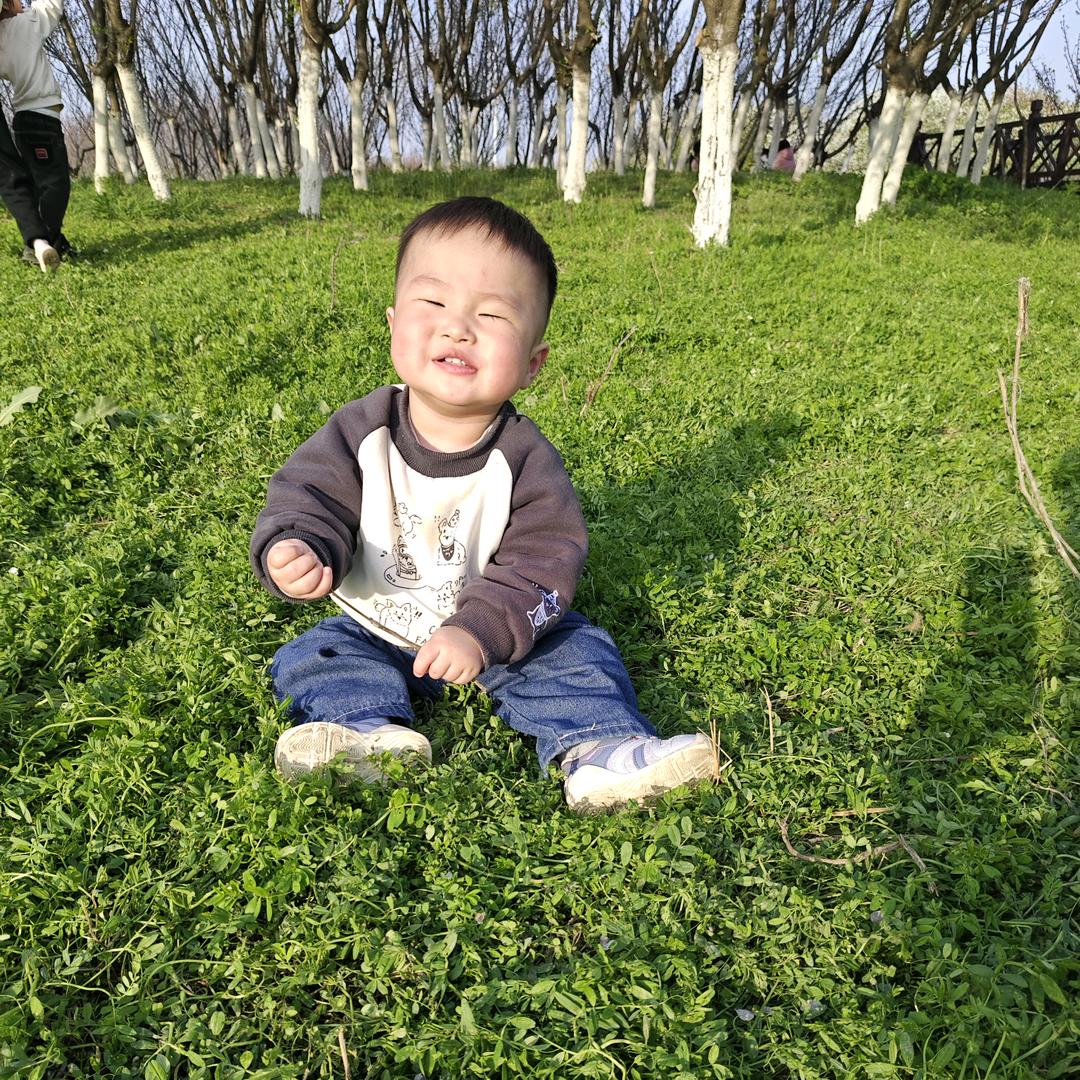 蛋仔的家