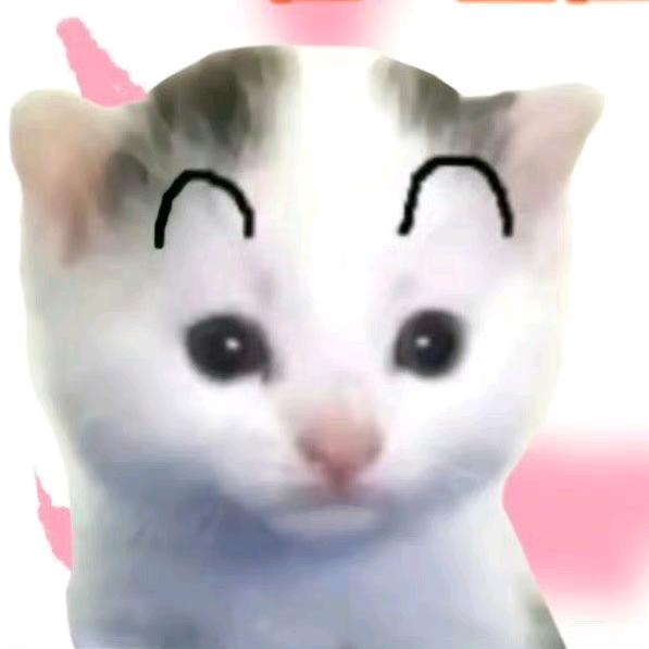 巧克力猪猪