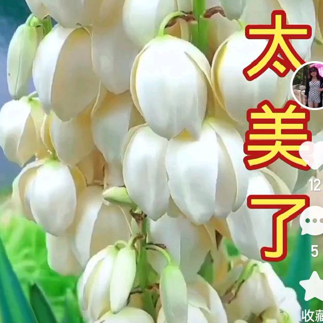 老高家政民宿服务