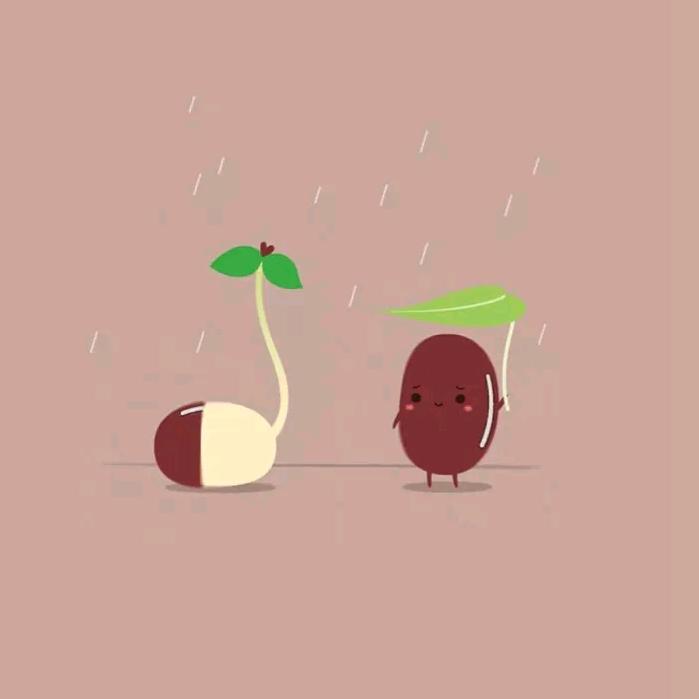 🍵壮壮家的小豆芽