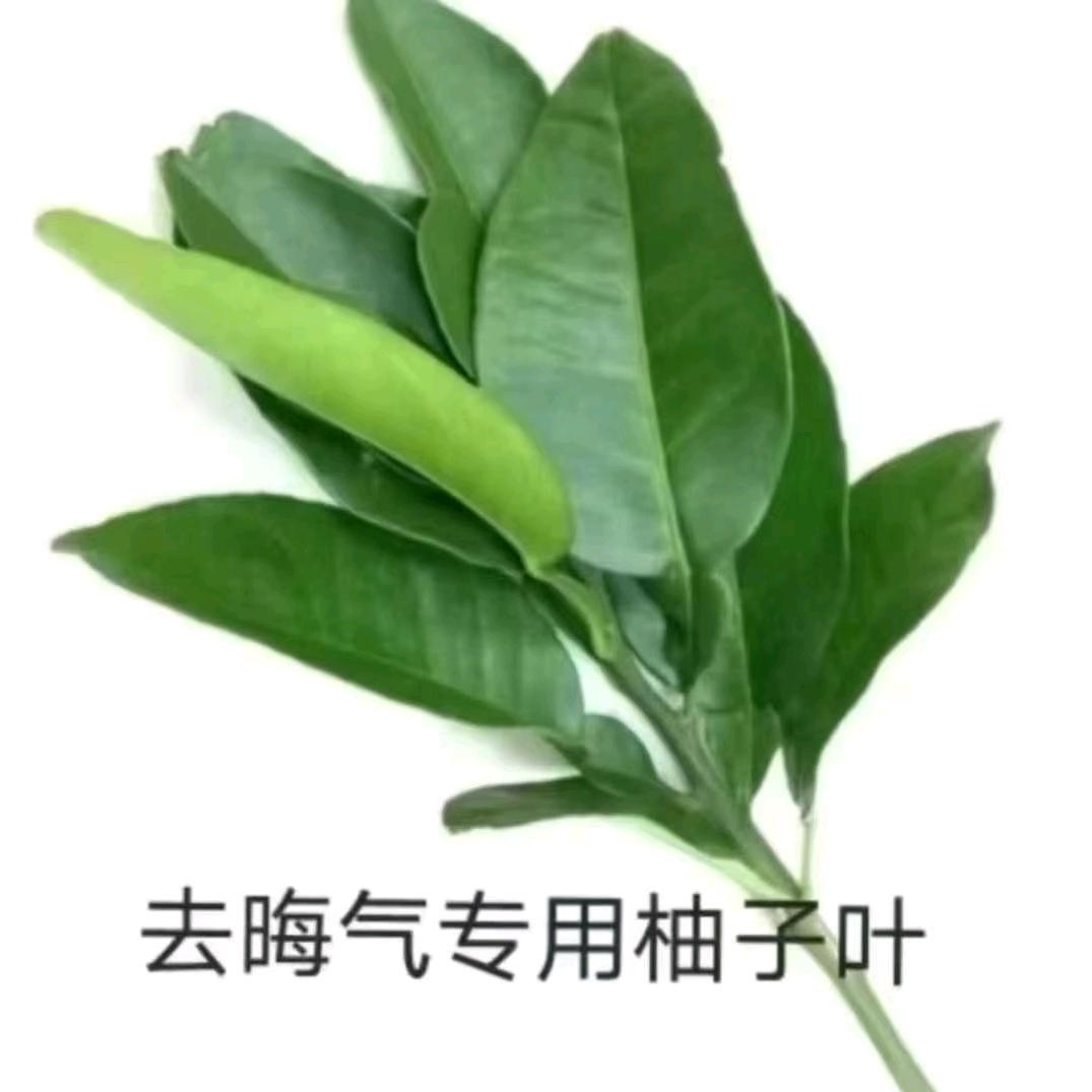 别闹