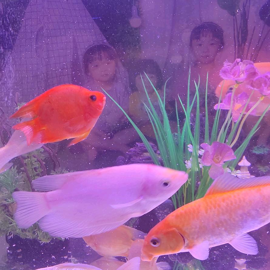 老映