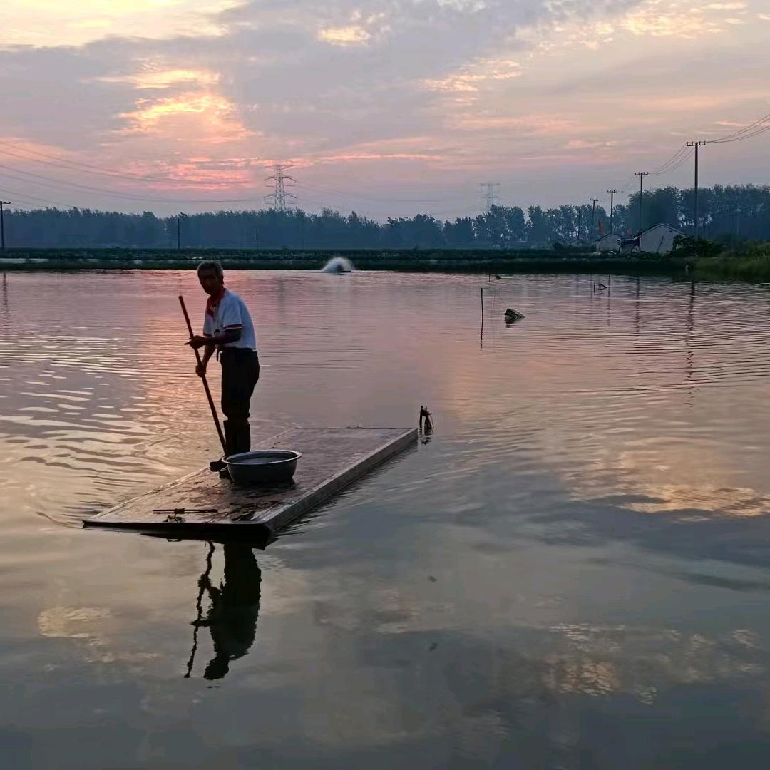 小徐和老徐养螃蟹
