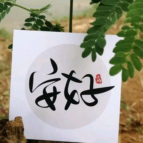 安好♬