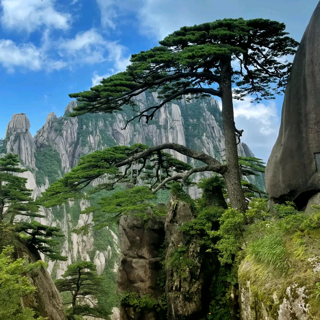 保山市明玉鹏食品，青峰