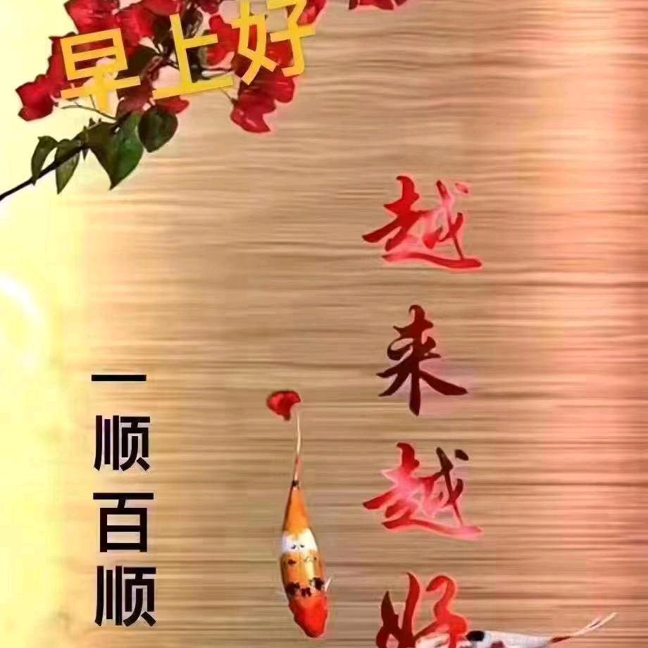 炎y夏日