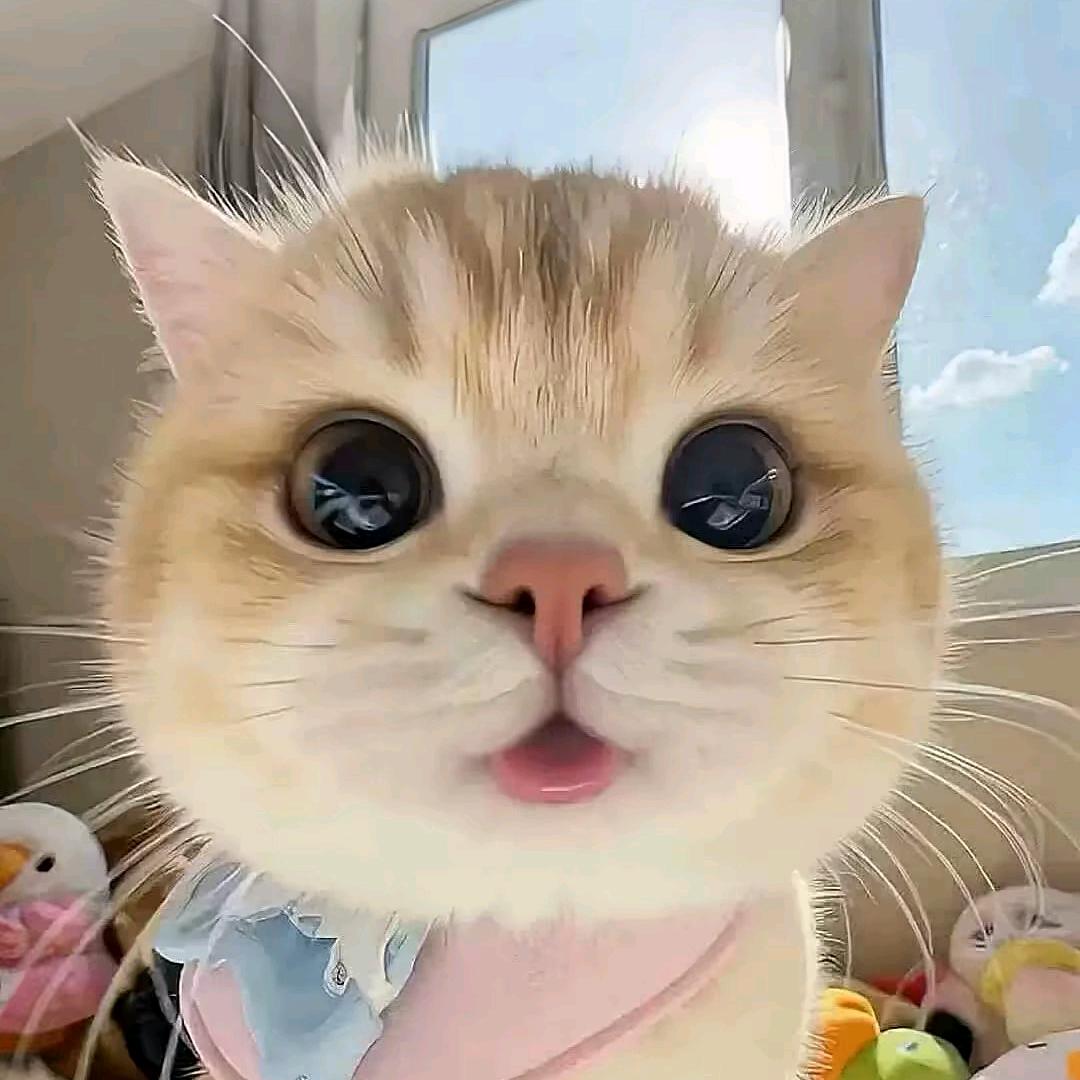 鄧鄧鄧^