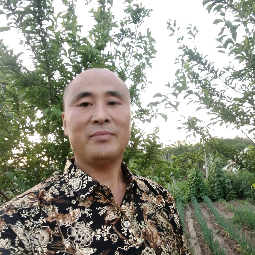 阳光丛林