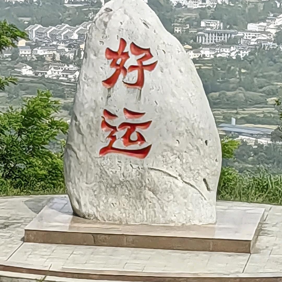 鸿运当头