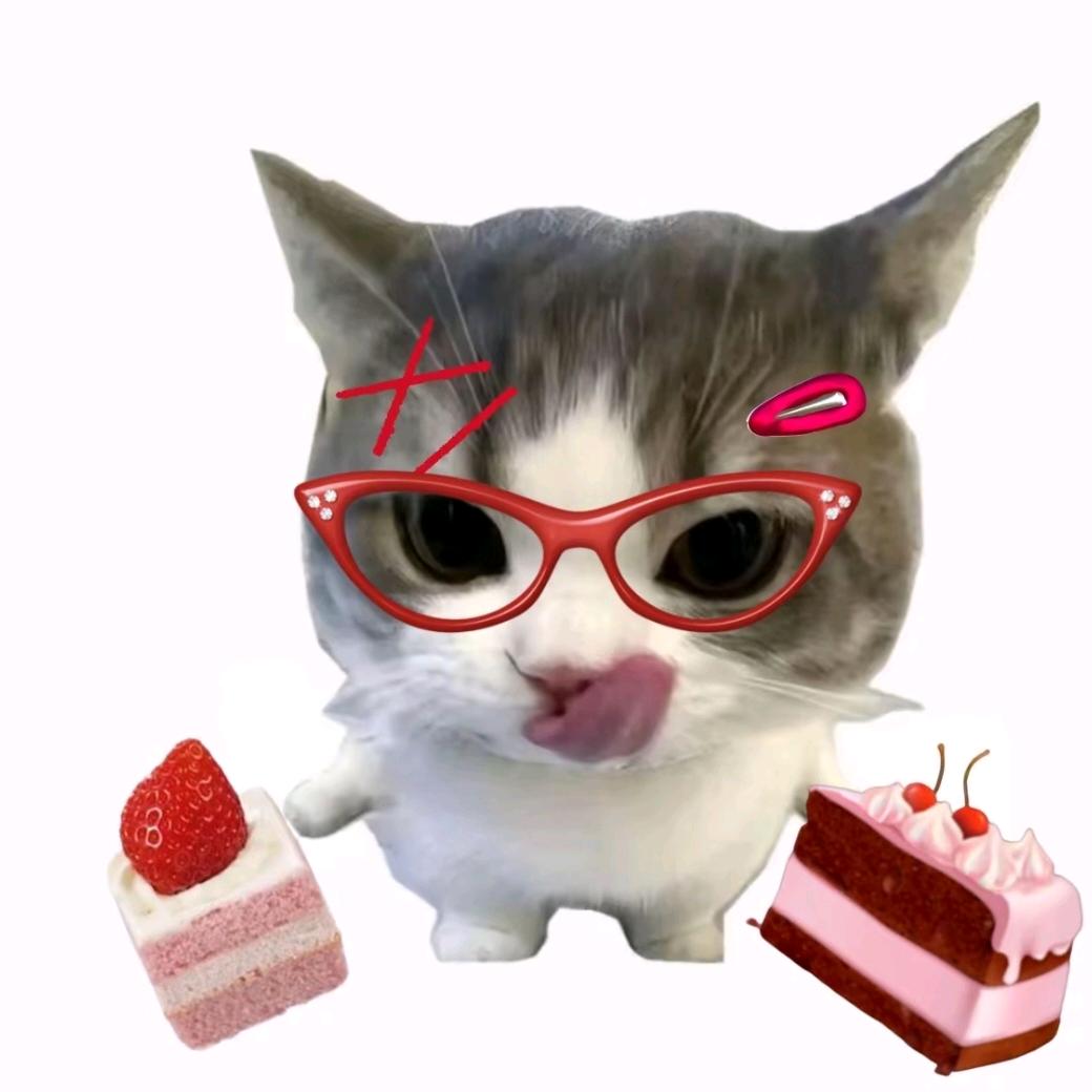 小猫大王.★^O^★