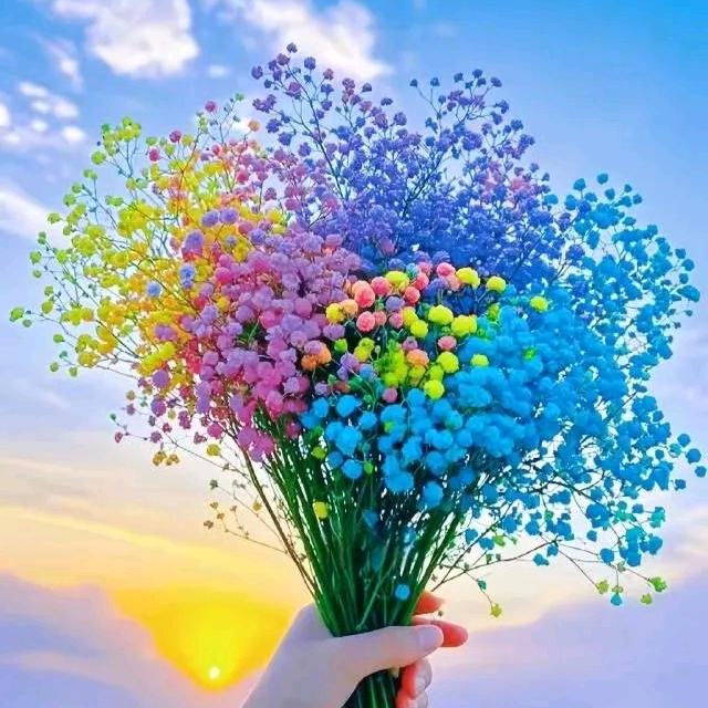 @重庆妹儿在👉深圳