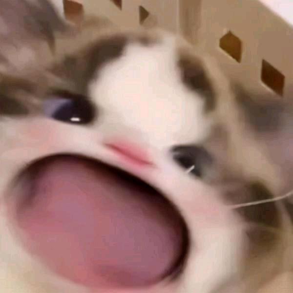 包 子