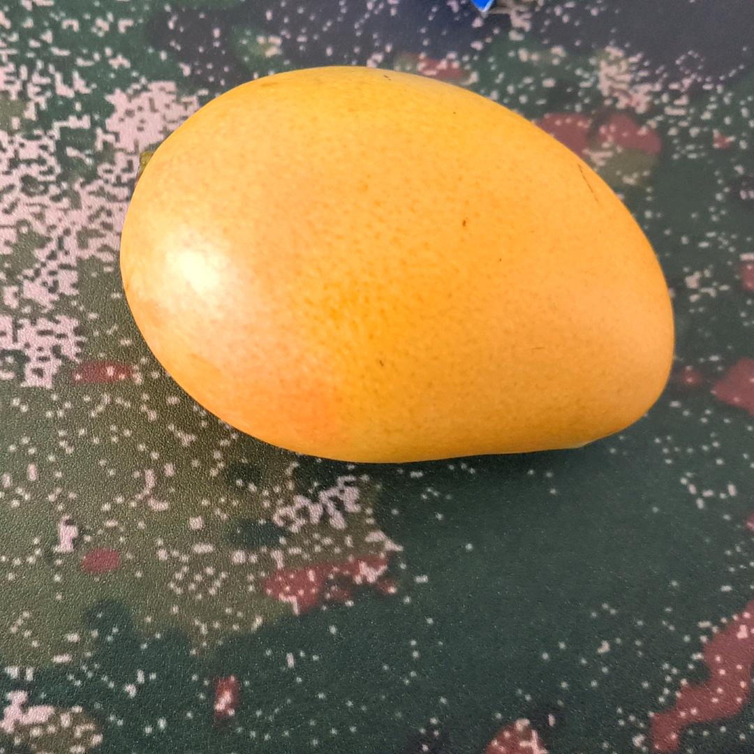 当一天和尚撞一天钟