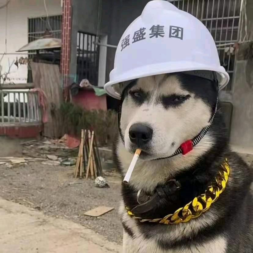 80岁纯情小处男