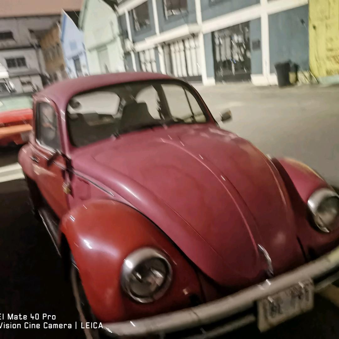 别让昨天的雨  淋湿今天的自己