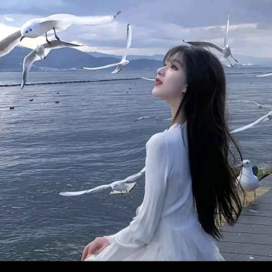 雾漫玫瑰夜