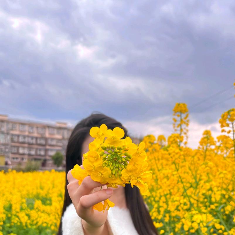 小宜粘土手工（成品可🛒）