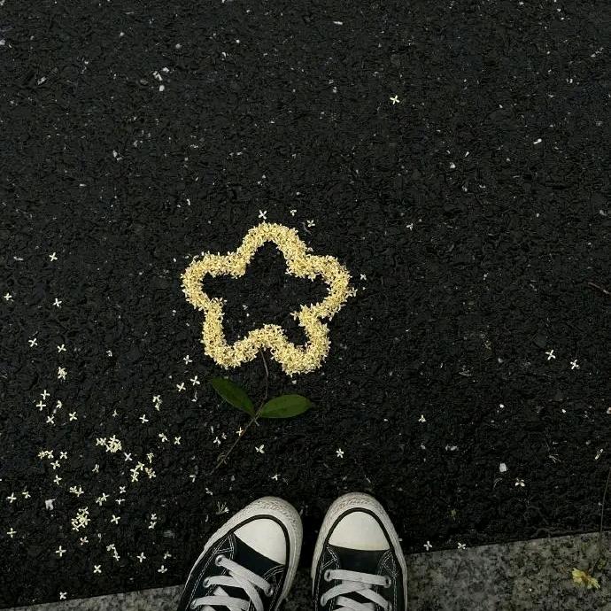 🌈半生雪๑• . •๑M