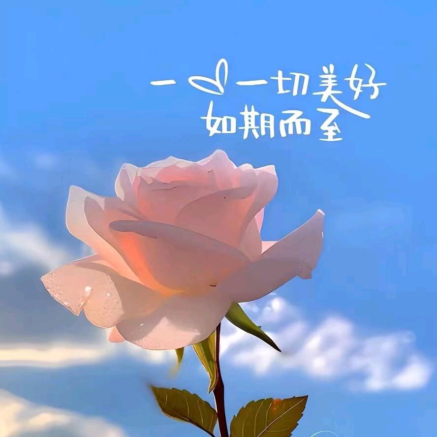 清风。