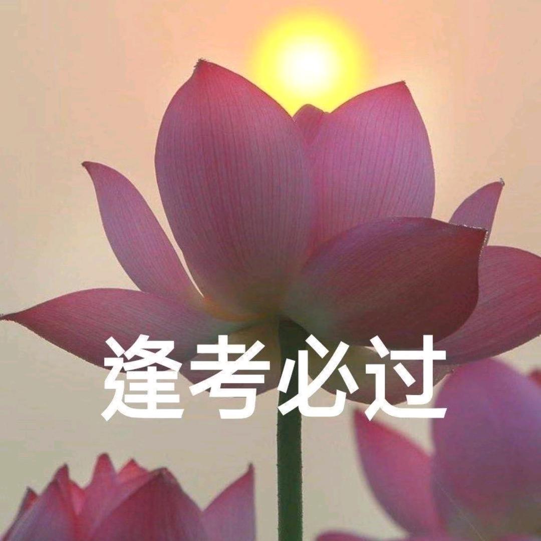 桃子太棒了