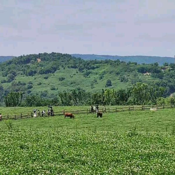 wdaikhlai