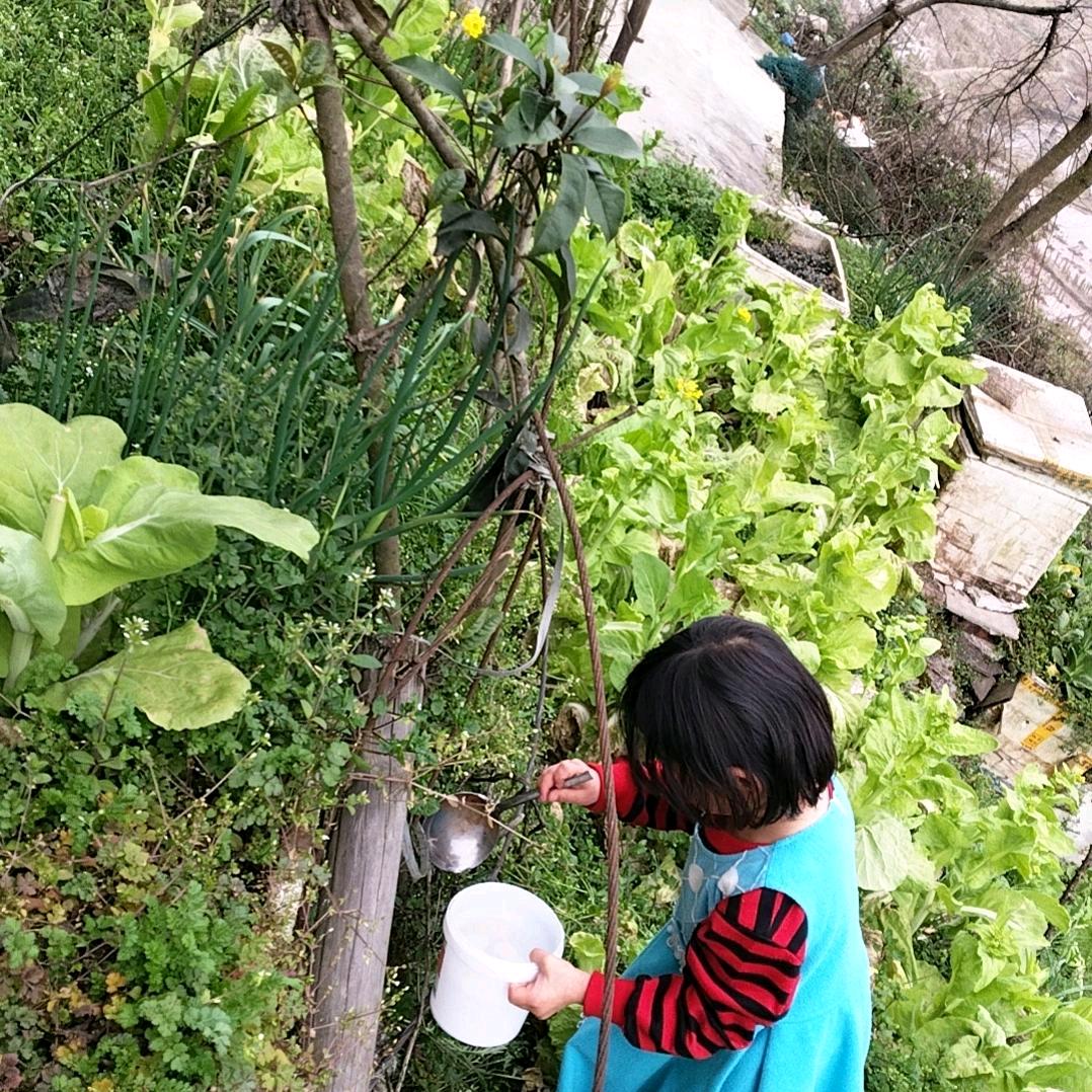 熊小慧