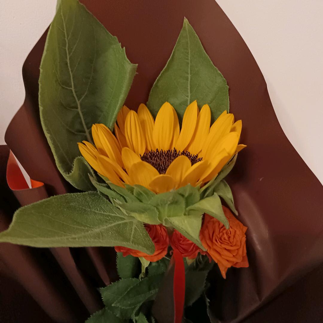 飞不过沧海的碟