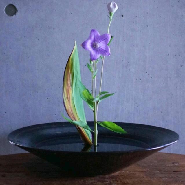余笙～向阳而生